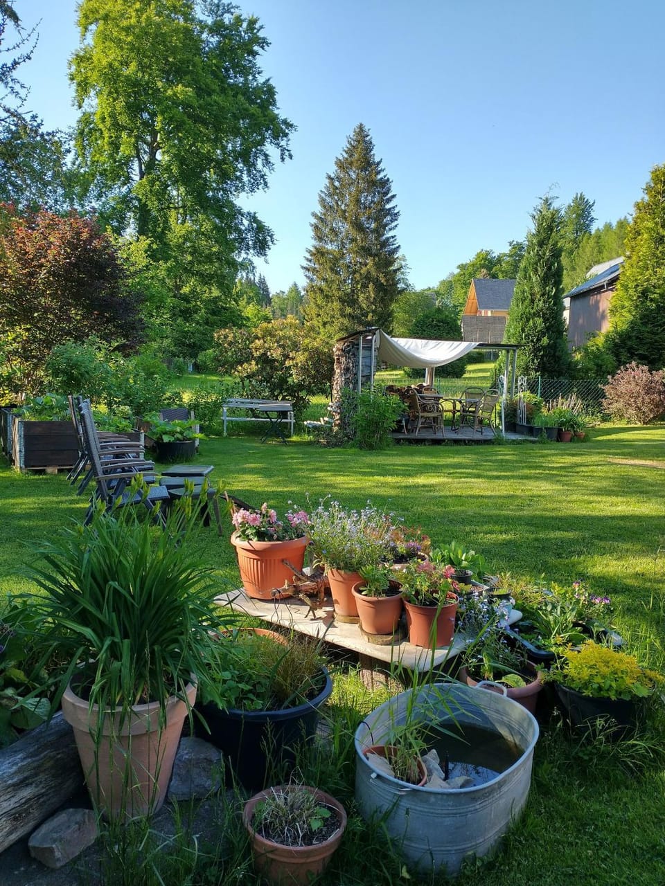 Garden