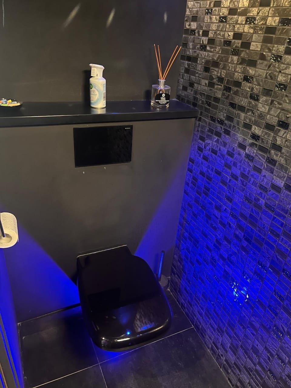 Très beau duplex avec Jacuzzi privatif Apartment in Mandelieu-La Napoule