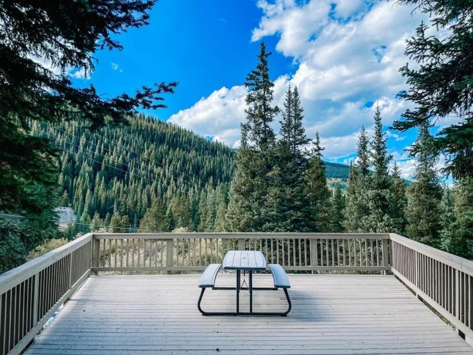 NEW_Remodeled Cozy Mountain Getaway House in Summit County