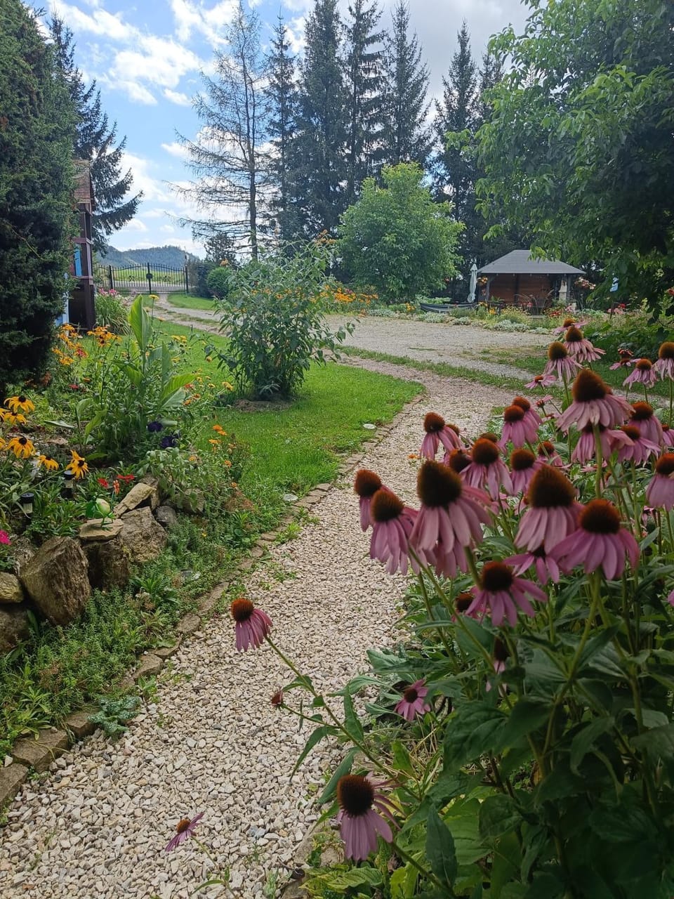 Natural landscape, Garden, Garden view
