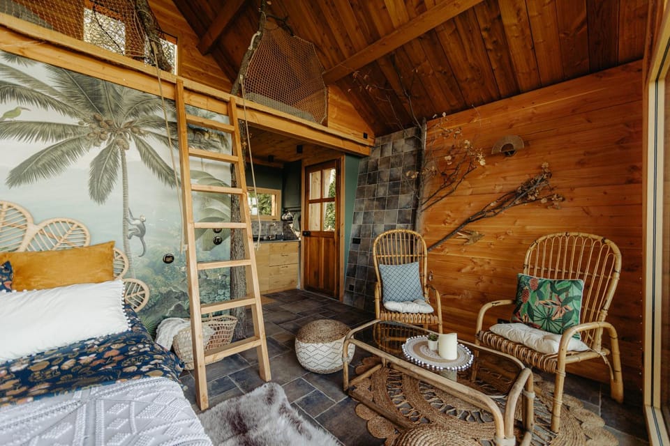 Bed, Living room, Photo of the whole room, Bedroom