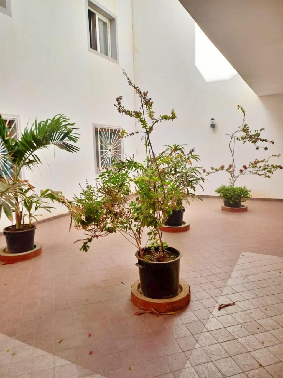 Garden view