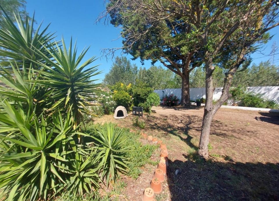 La guinguette Apartment in Agde
