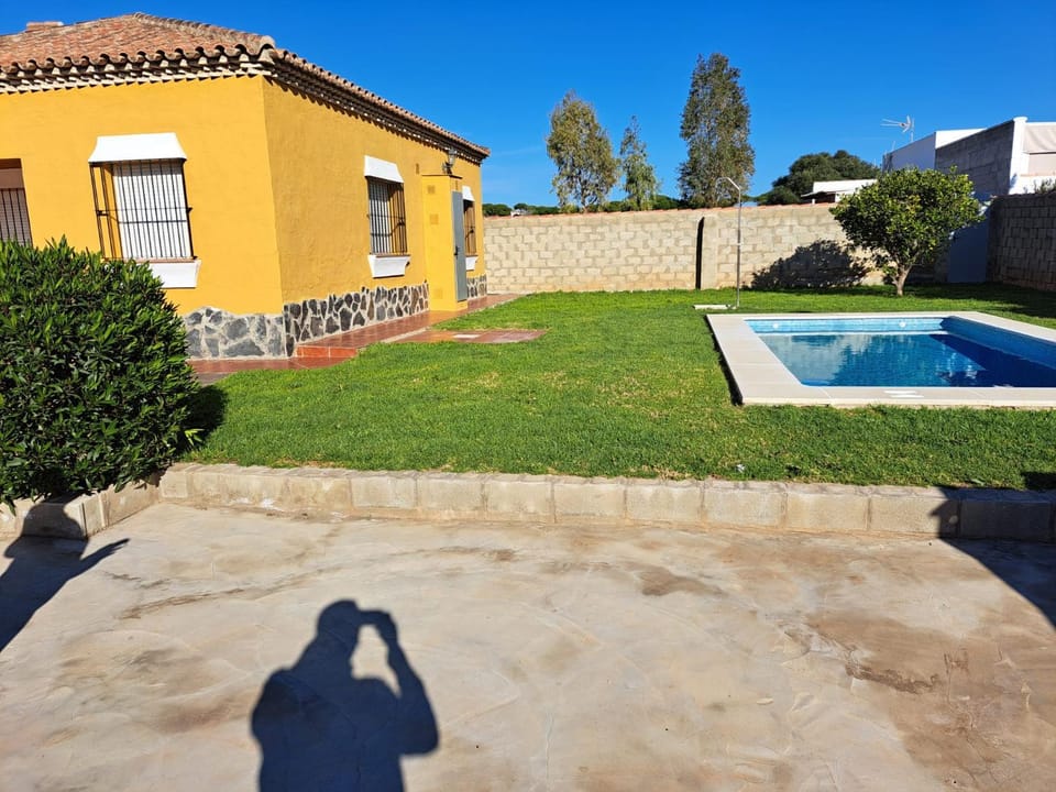 Garden, Pool view, Swimming pool, sunbed