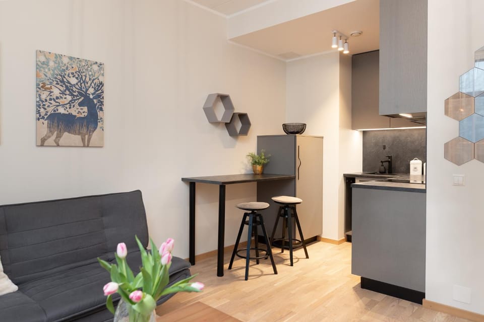 Cozy Riia kvartal apartment with free parking and air conditioning Apartment in Estonia