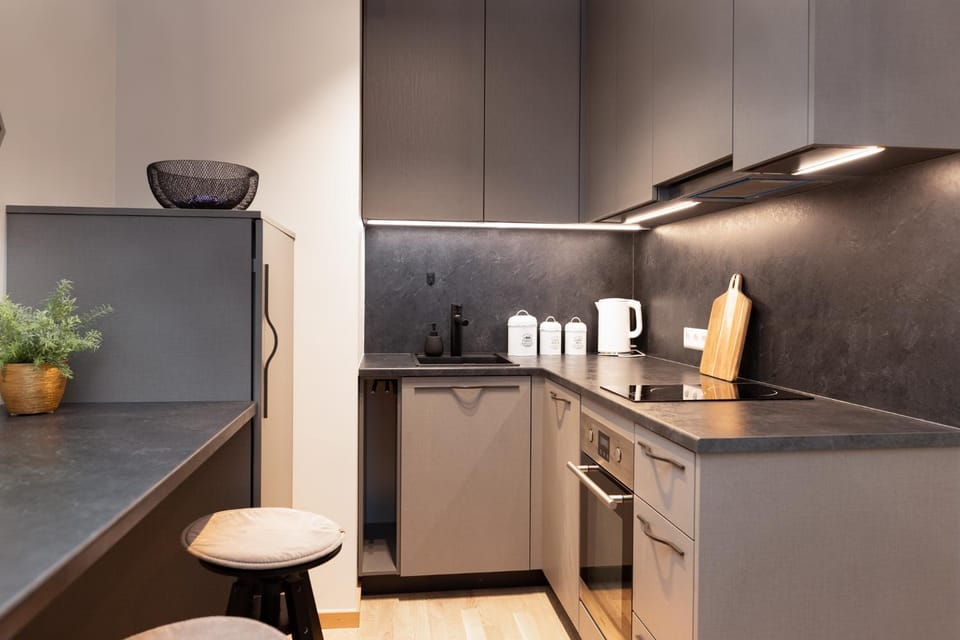 Cozy Riia kvartal apartment with free parking and air conditioning Apartment in Estonia