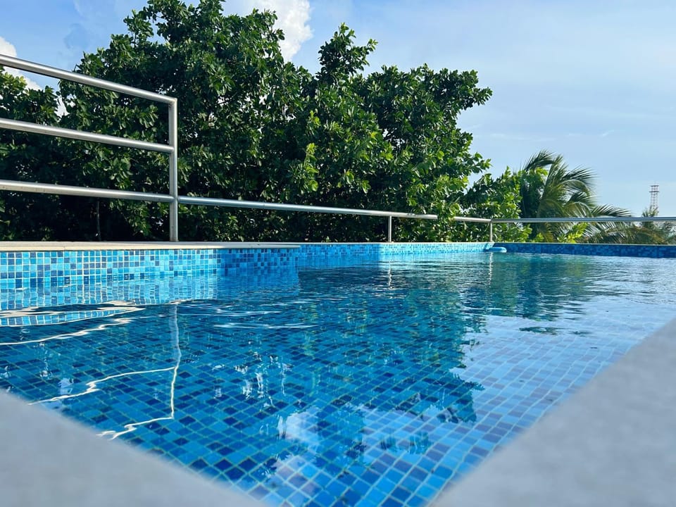 Day, Pool view, Swimming pool, Swimming pool