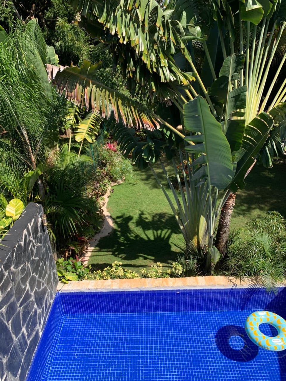 Garden view