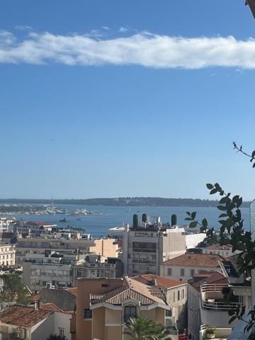Celeste Cannes Centre 700m du Palais des Festivals Apartment in Cannes