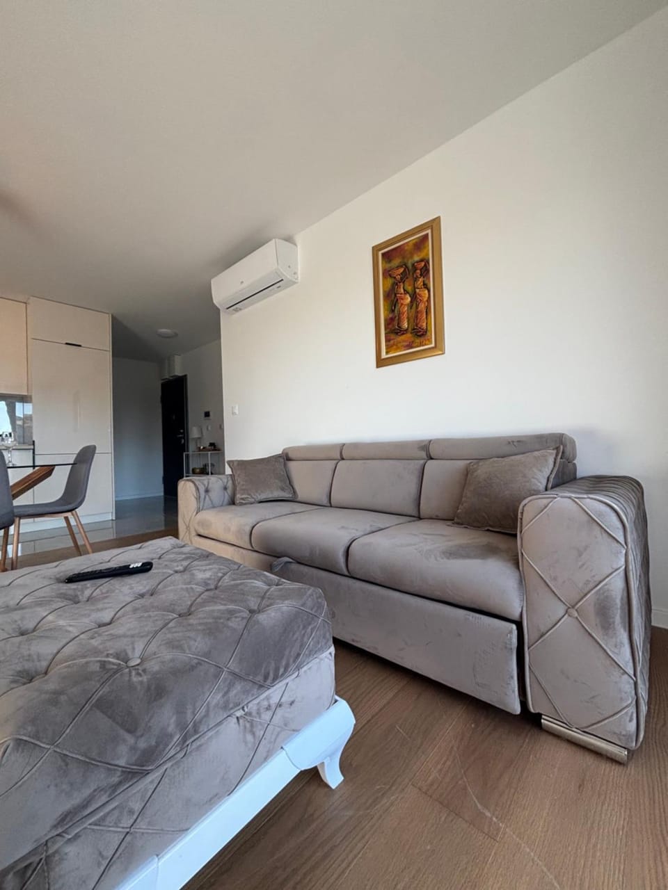 Living room, Photo of the whole room, Seating area, air conditioner