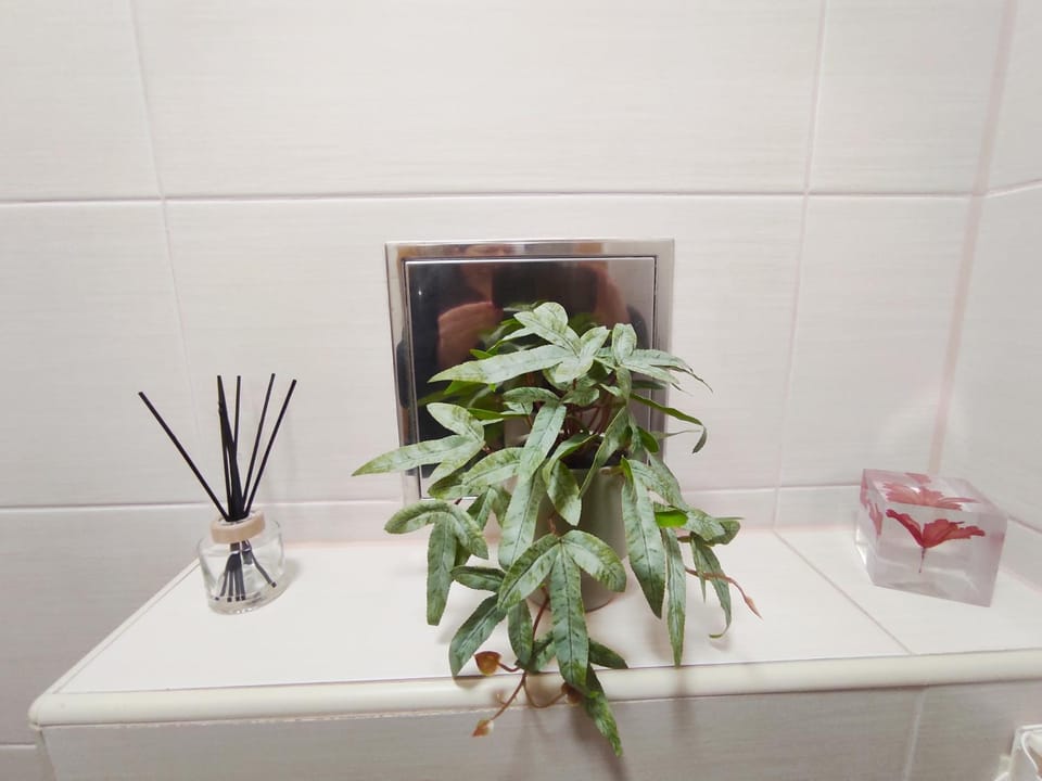 Apartman Ramos Zagreb Apartment in City of Zagreb
