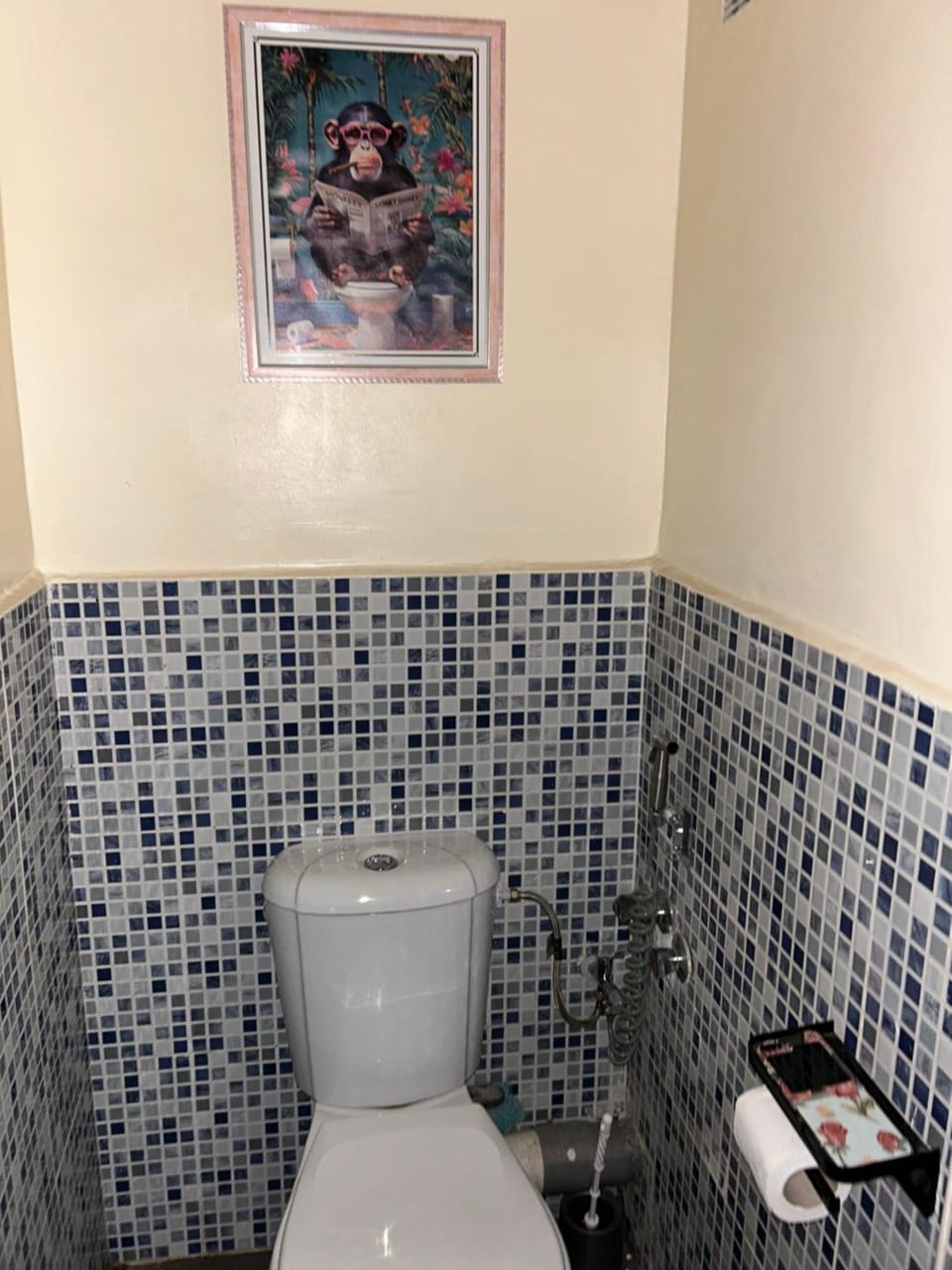 Le nid zen Apartment in Marrakesh