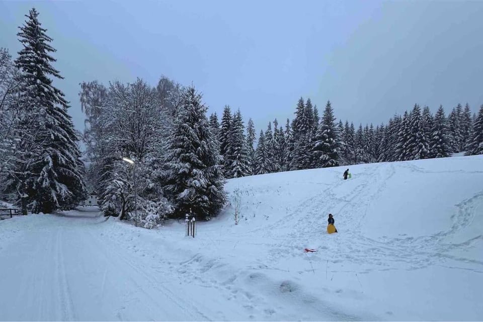 Chata Zlatý Kopec House in Erzgebirgskreis
