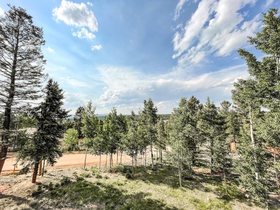 Secluded Cabin_fishing_hiking_relaxing_fireplace Cabin in Colorado