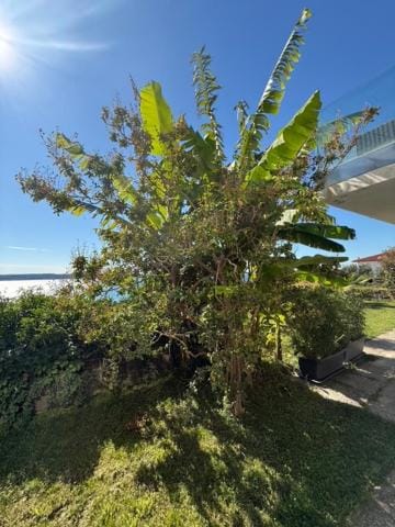 KINKELA apartments Apartment in Portorož
