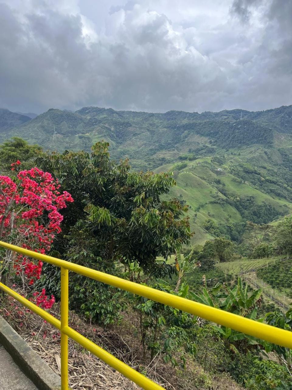 Natural landscape