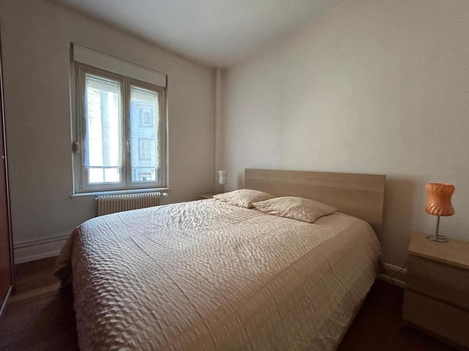 Lumineux & Élégant Centre Strasbourg Apartment in Strasbourg