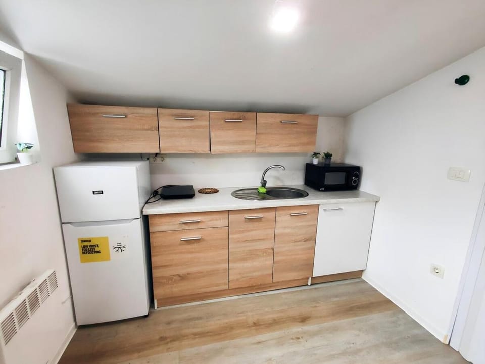 Cozy Renovated New Apartment Apartment in Ljubljana