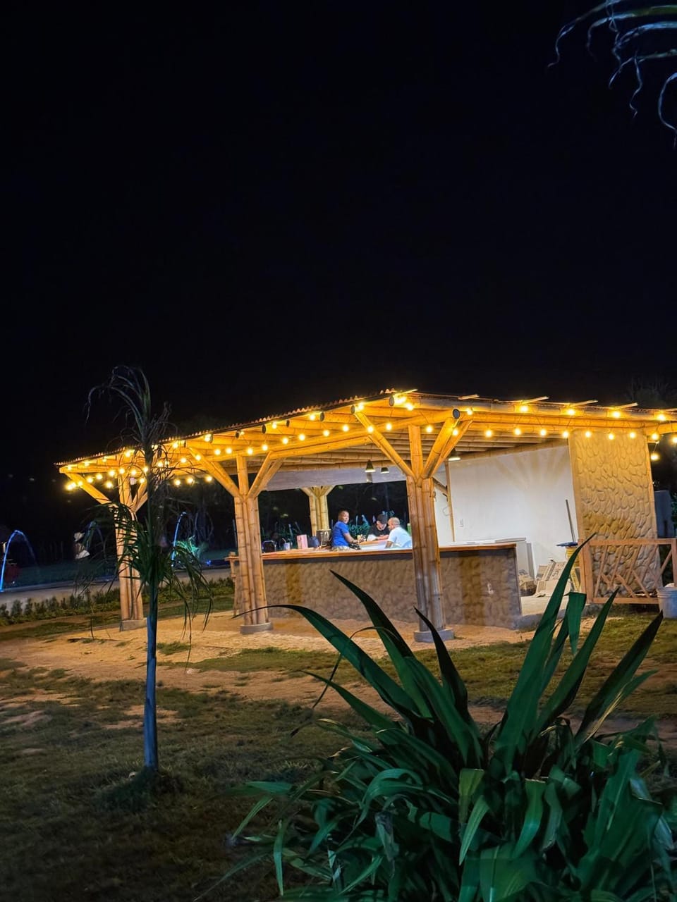 Lounge or bar