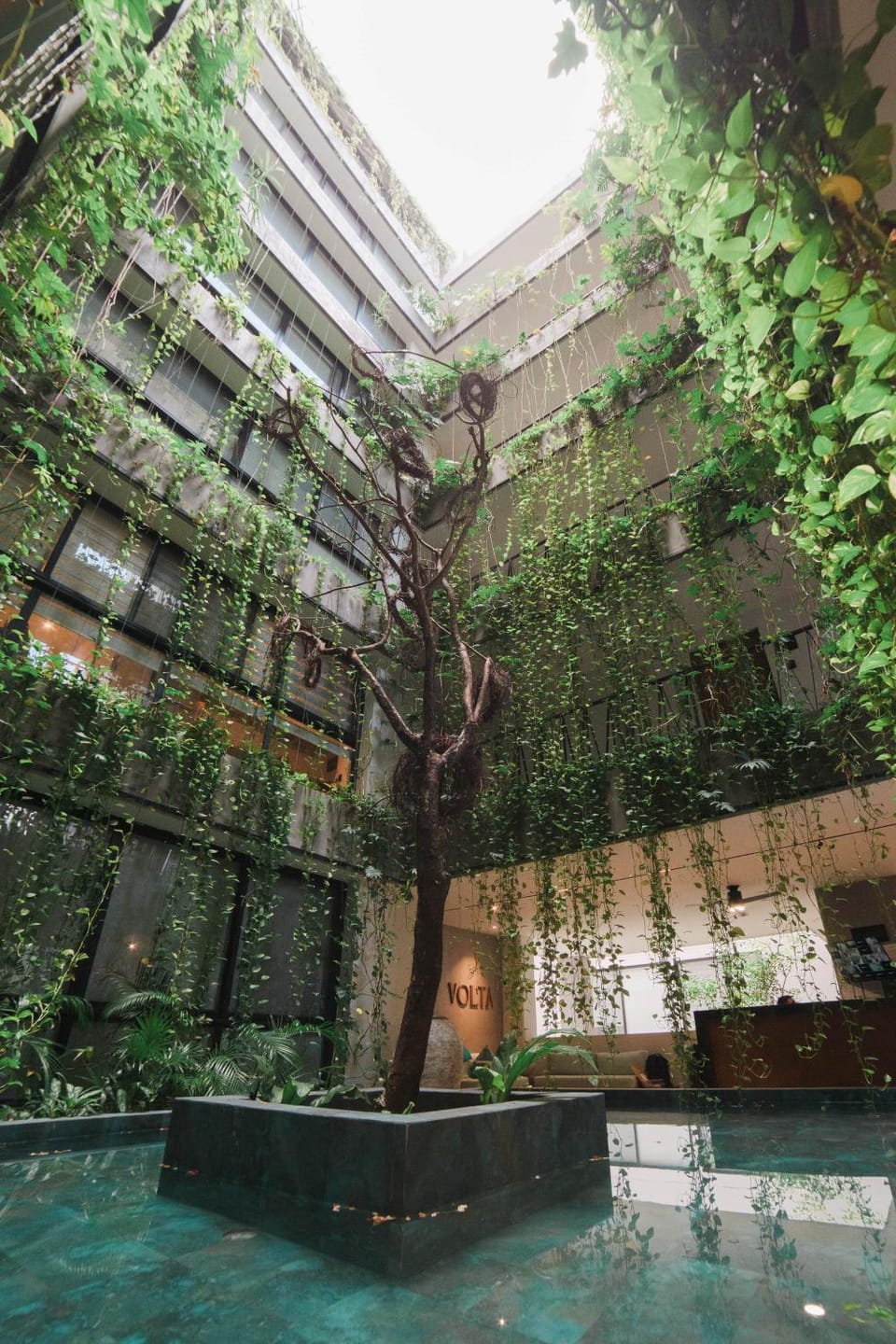 Property building, Natural landscape
