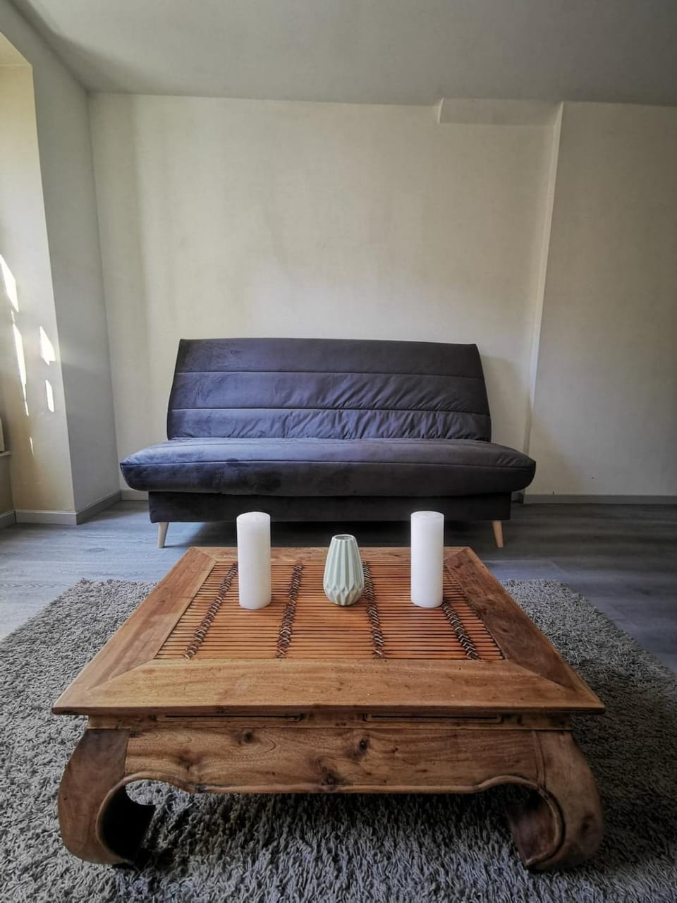 T2 Cosy, proche gare Apartment in Auvergne-Rhône-Alpes