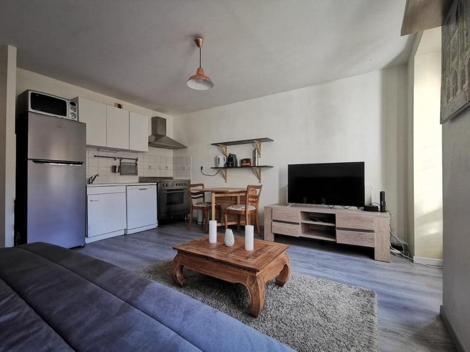 T2 Cosy, proche gare Apartment in Auvergne-Rhône-Alpes