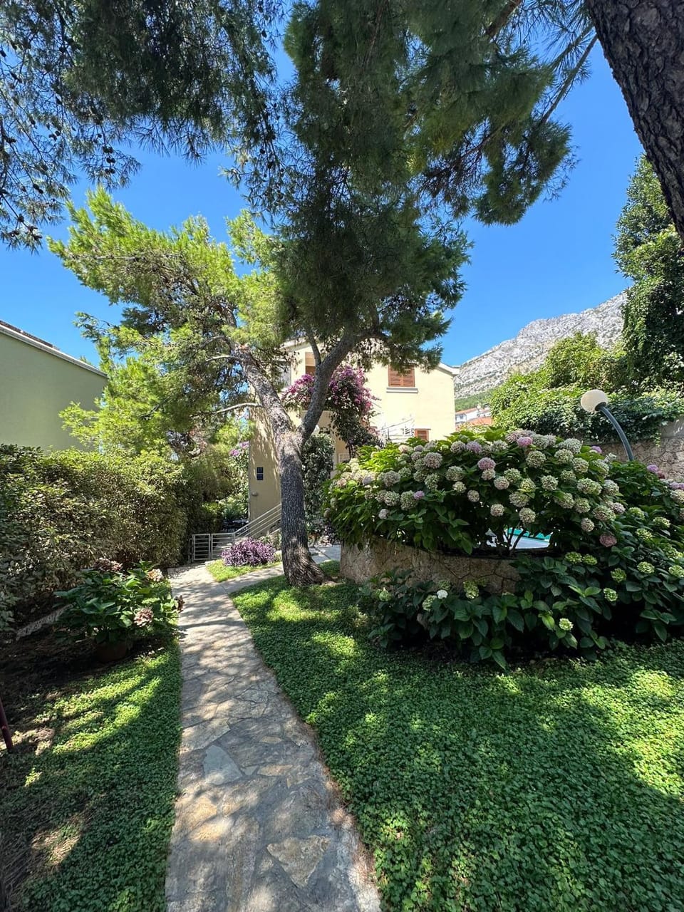 Garden view