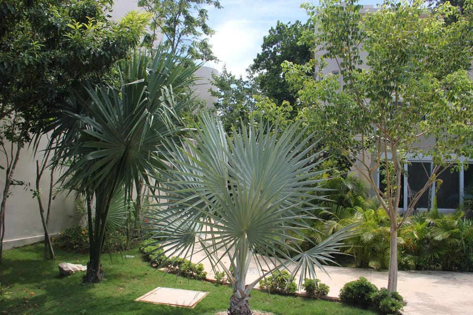 Garden, Garden view