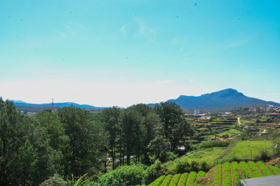 Mountain view