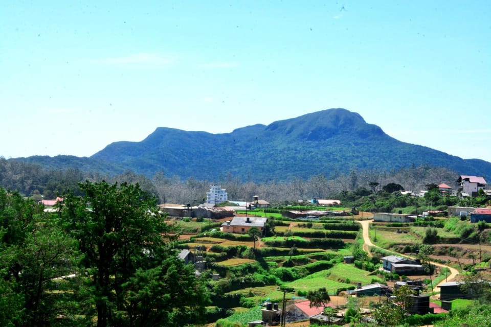 Mountain view