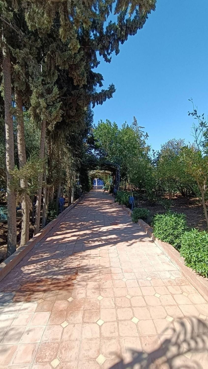 Spring, Garden, Garden