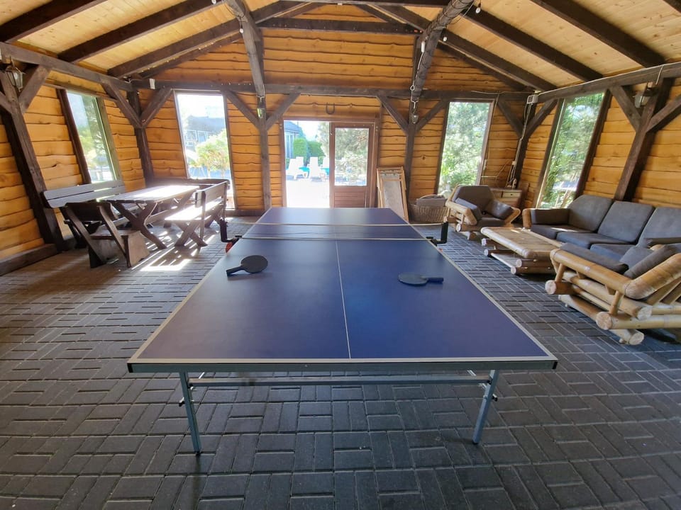 Game Room, Table tennis