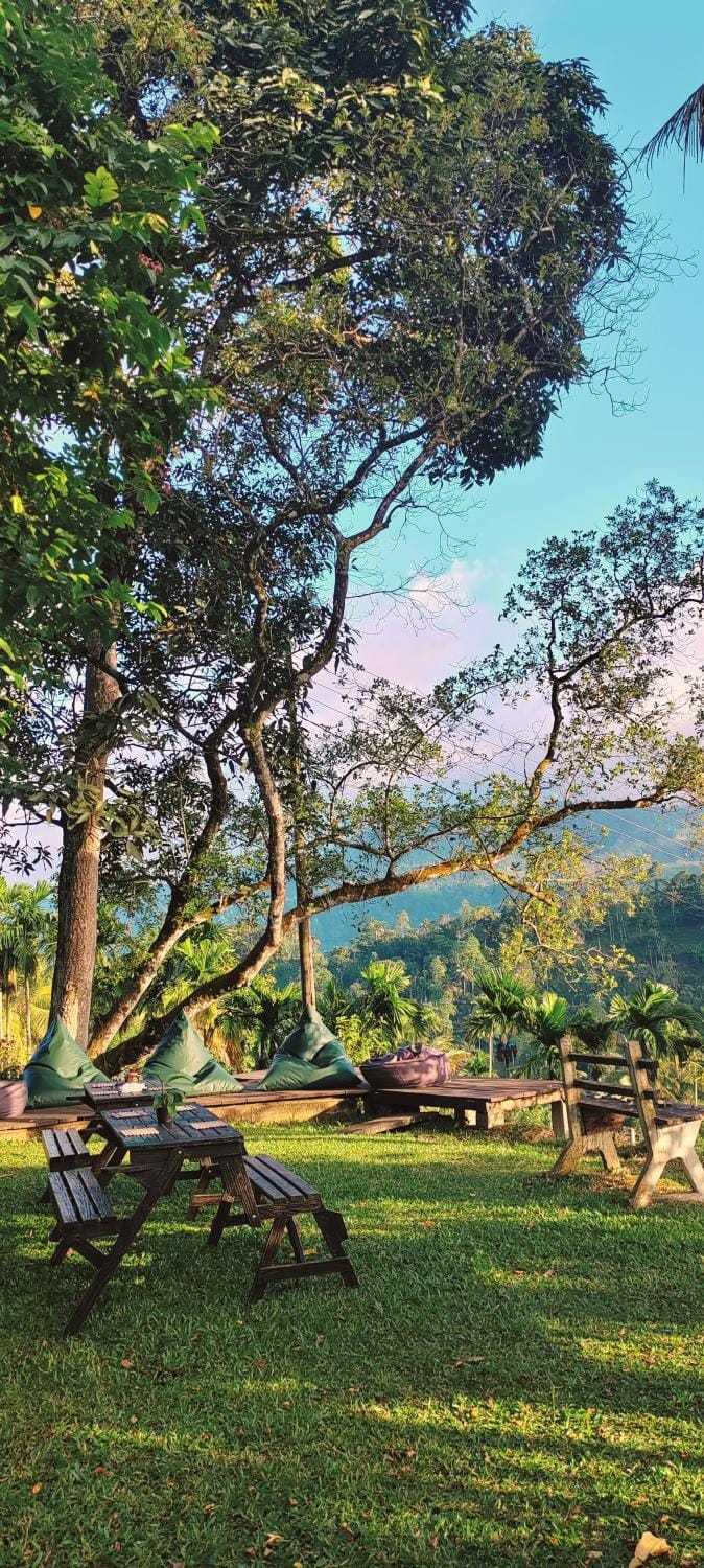 Garden, Garden view