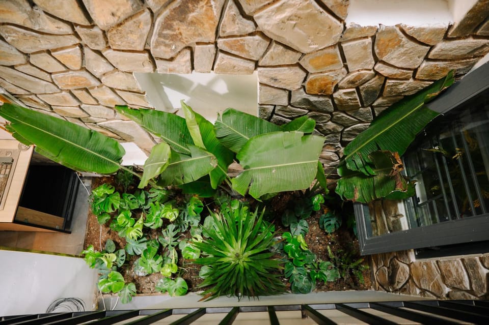 Patio, Natural landscape, Garden