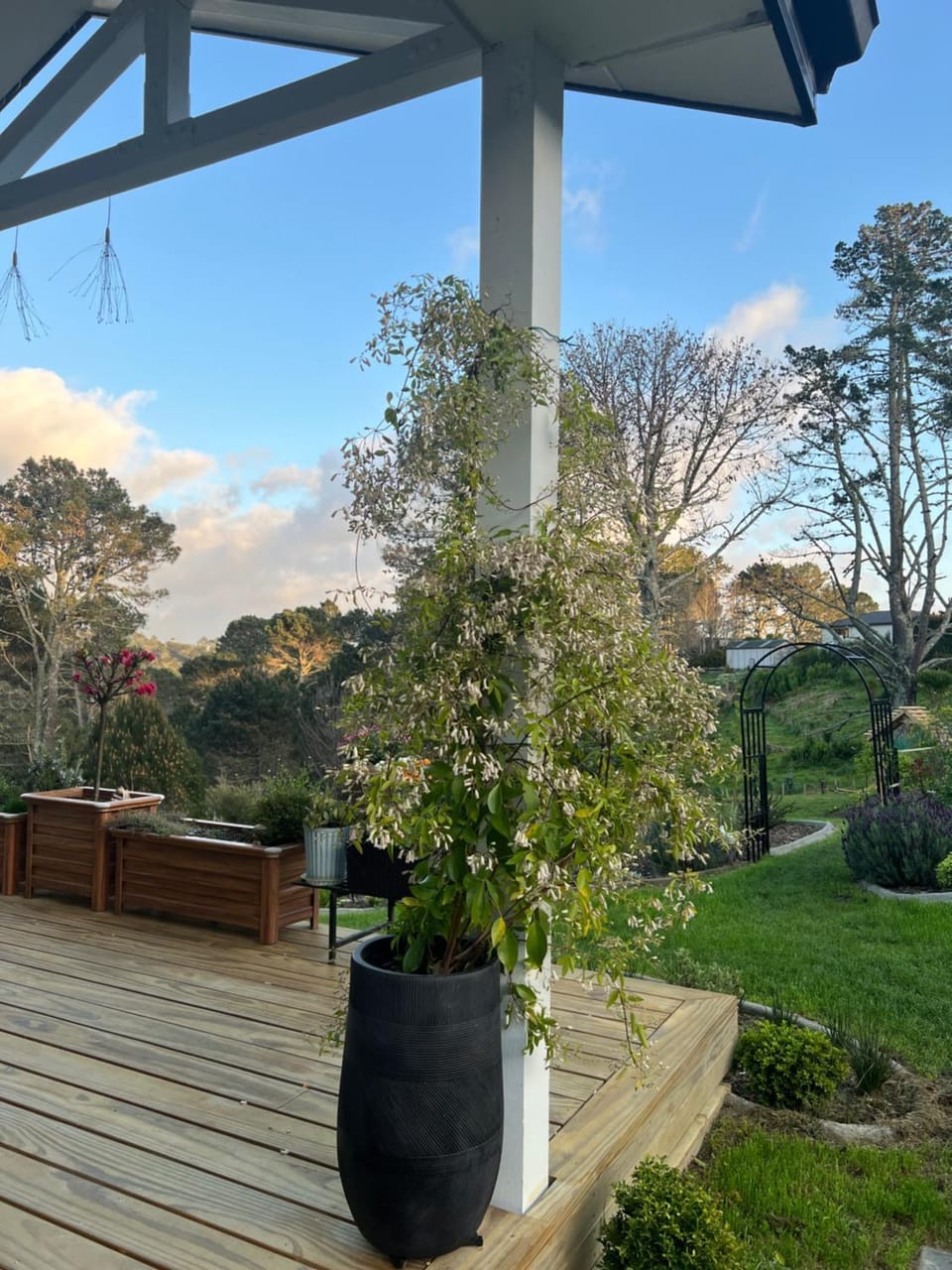 Peaceful Bush Getaway Vacation rental in Auckland