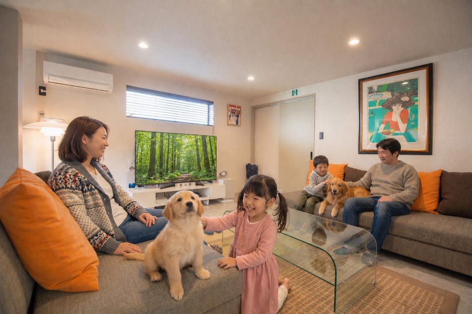 People, Living room, Pets
