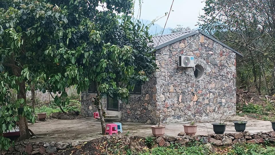 Property building, Garden view