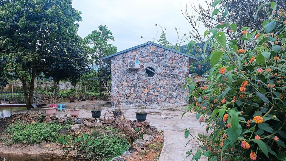 Garden, Garden view, Landmark view
