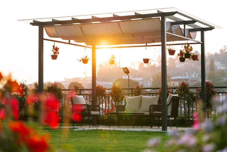 Garden, Seating area, Garden view