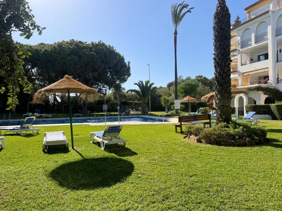 Day, Garden, Swimming pool, sunbed