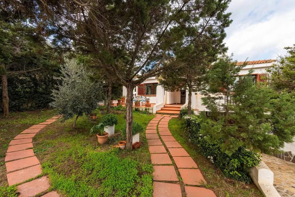 Amazing detached villa near Stintino Villa in Punta de su Torrione