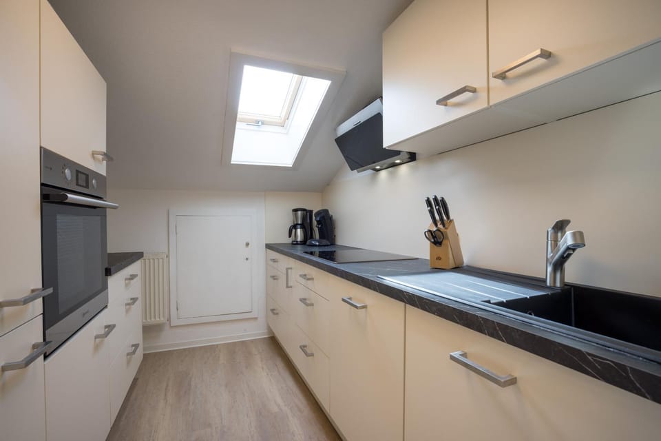 Kitchen or kitchenette, dishwasher