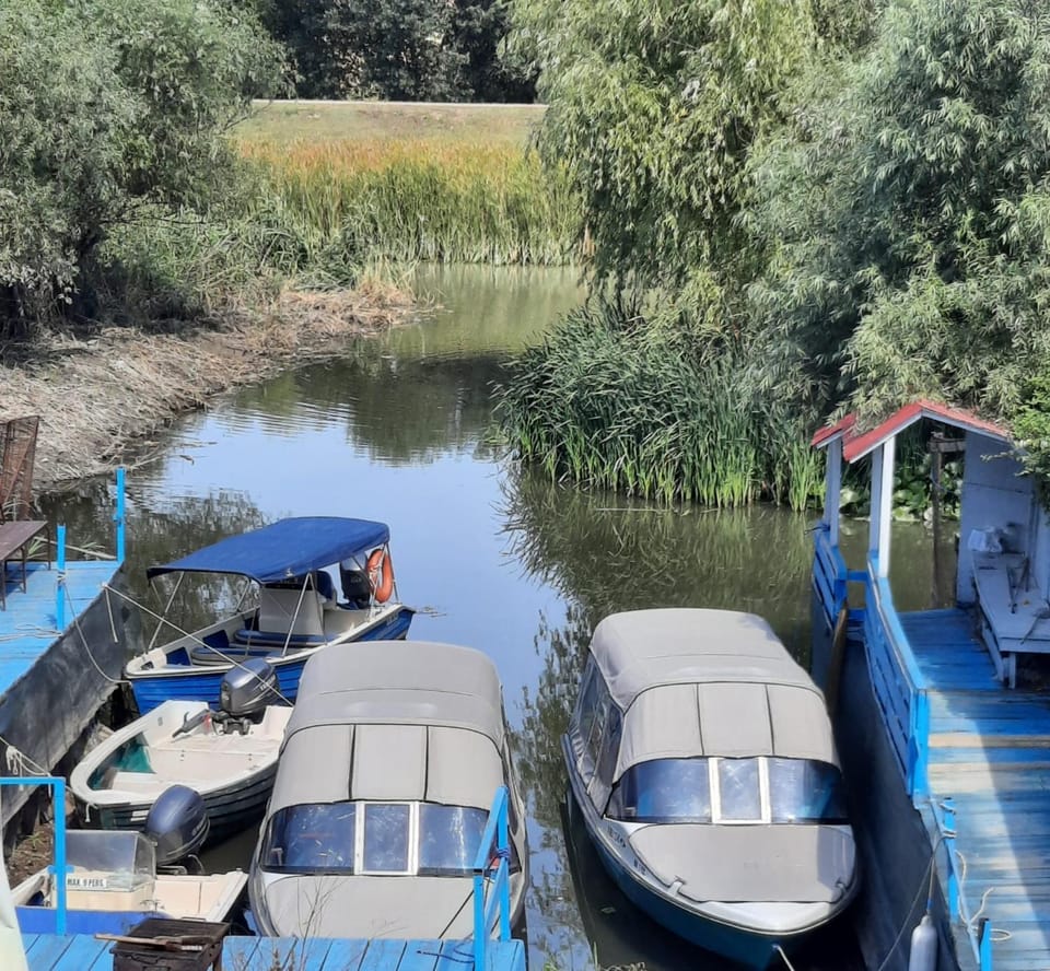 Timona Bed and Breakfast in Romania