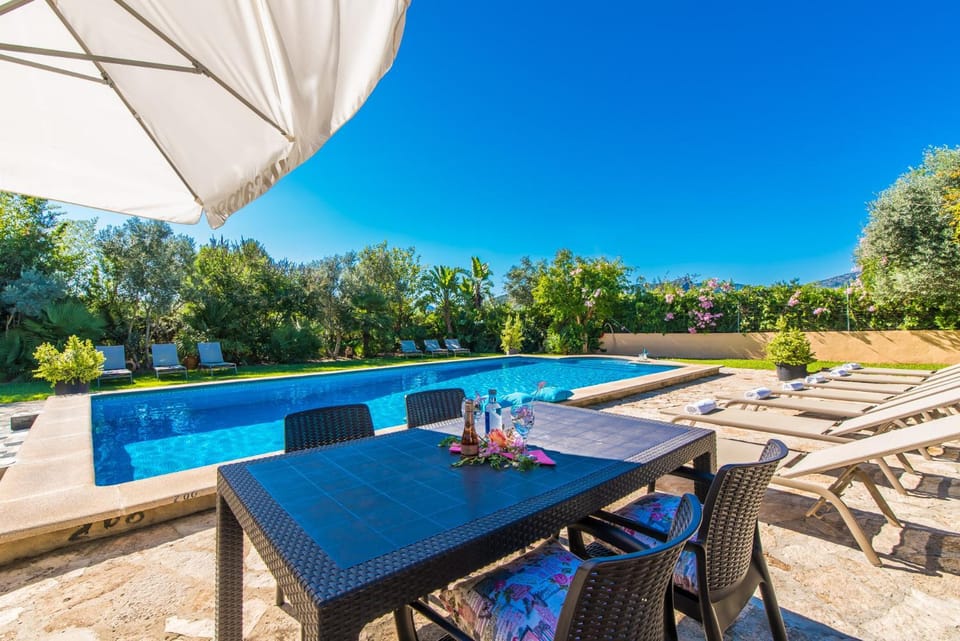 Patio, Garden, Garden view