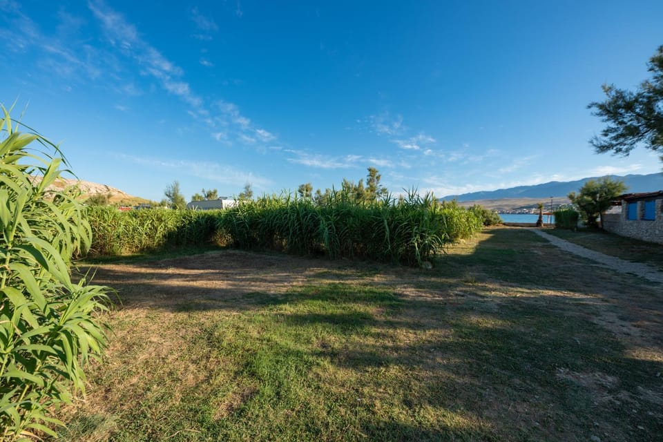 Day, Natural landscape, Summer