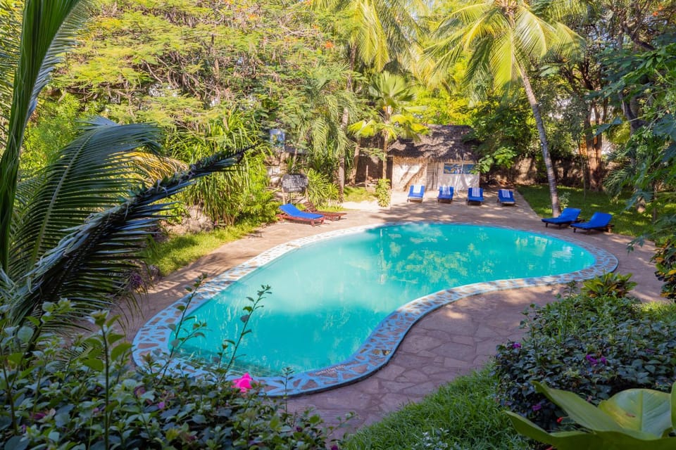 Spring, Day, Natural landscape, Pool view, Pool view, Swimming pool, sunbed