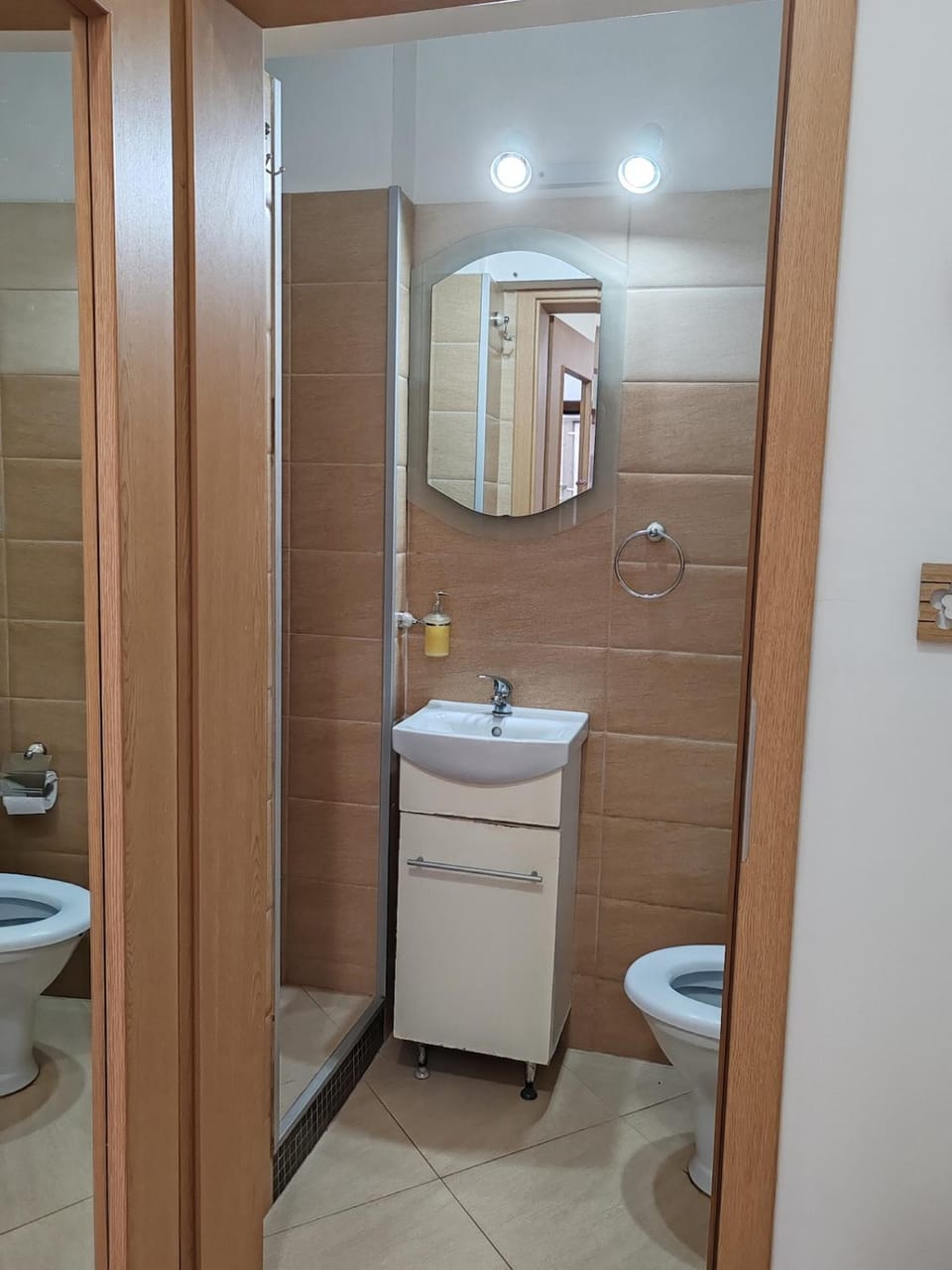 Apartment in the historical house Apartment in Timisoara