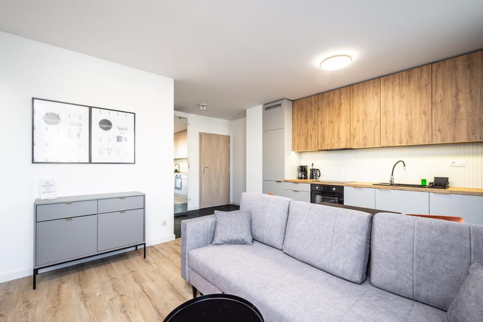 Kitchen or kitchenette, Living room, stove