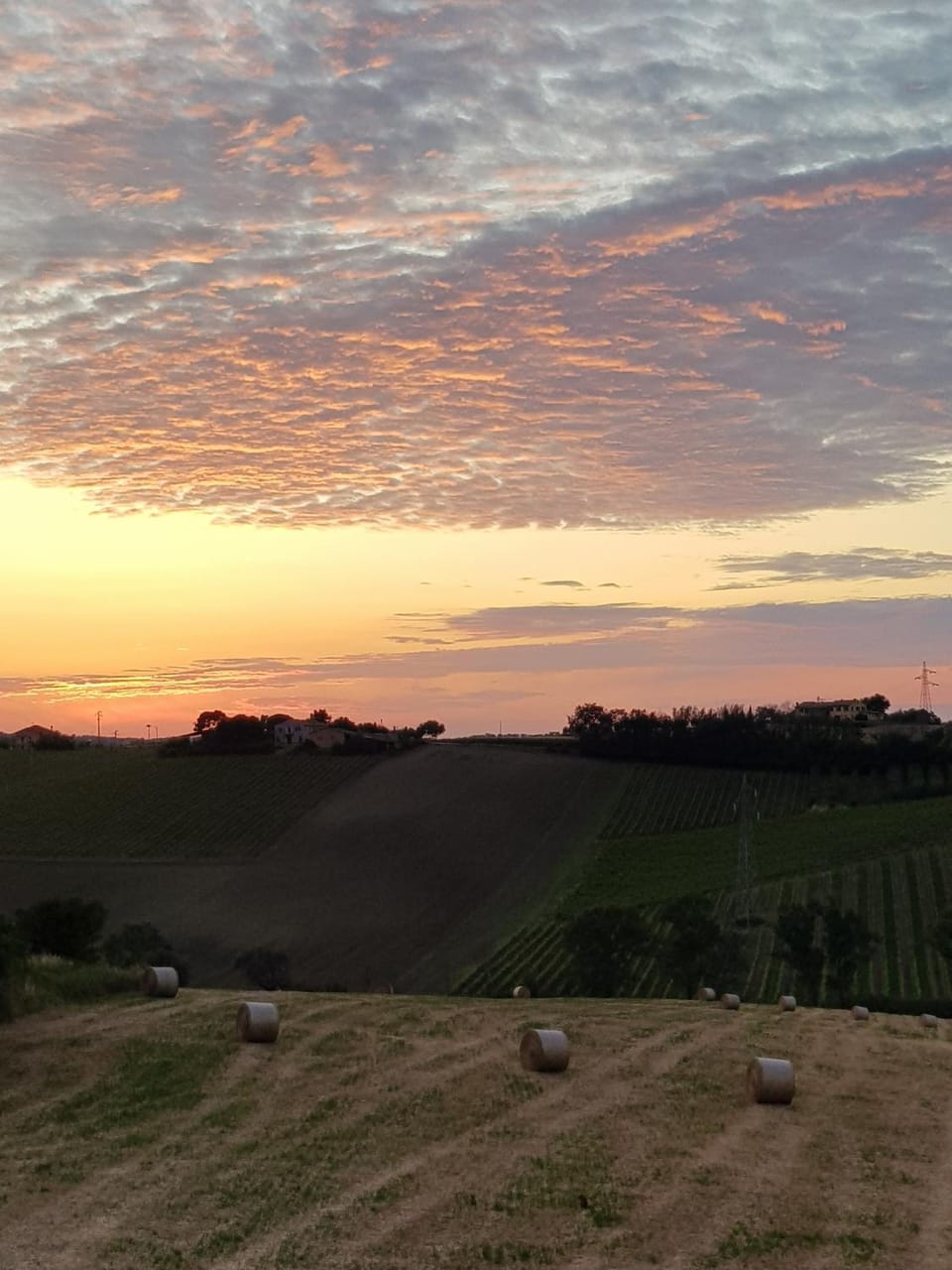 Natural landscape, Sunset