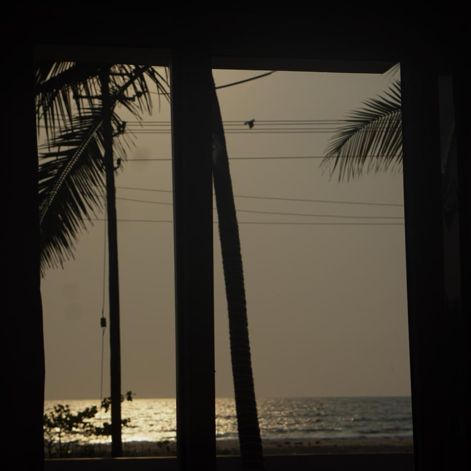 View (from property/room)